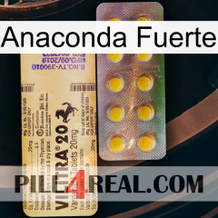 Anaconda Strong new06